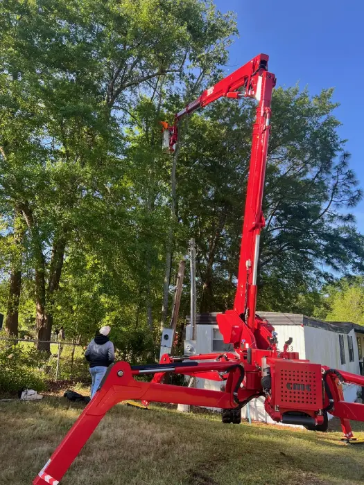 Professional Tree Removal