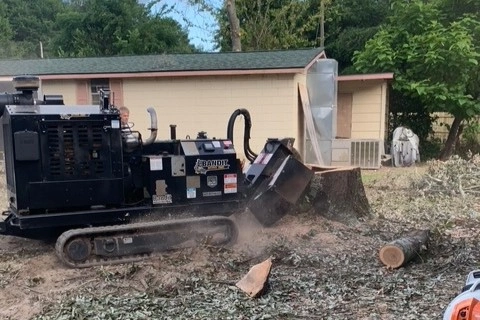 Stump Grinding